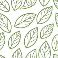Spring leaves seamless pattern with delicate veins and subtle variations in green for natural elegance concept as Elegant spring leaves pattern with delicate veins and varying gree Seamless Set vector