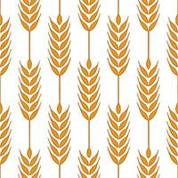 Golden harvest wheat seamless tile pattern with autumn textures and warm hues concept as Golden wheat stalks with autumn textures create a harvest wheat seamless tile pattern full Seamless Set vector