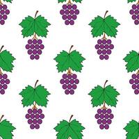 Lush grapevine seamless tile pattern with clusters of grapes and autumn leaves concept as Clusters of grapes and autumn leaves create a lush grapevine seamless tile pattern perfect Seamless Set vector