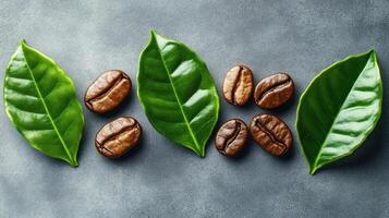 Coffee beans and leaves arranged artistically. top view shot photo