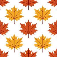 Warm autumn leaves seamless tile pattern with maple and chestnut leaves for cozy fall spaces concept as Maple and chestnut leaves arranged seamlessly in warm tones for creating coz Seamless Set 3 vector