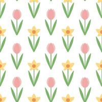Spring pastel seamless pattern with tulips and daffodils for fresh lively spring spaces concept as Fresh tulips and daffodils arranged in seamless spring pastel patterns for a live Seamless Set vector