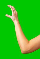 Hand reaching out with open palm against vibrant green background in indoor setting photo