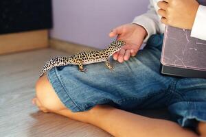 Leopard gecko interacts with child at home on a warm afternoon in casual setting photo