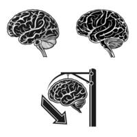A simple black line drawing of the human brain on white background vector