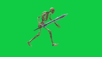 Skeleton running with holding a sword 3d loop animation side view isolated on green screen background video
