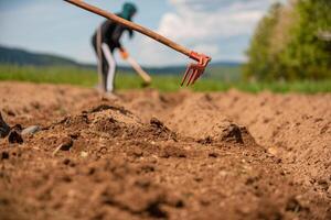 Team of farmers are working on an agricultural fields in spring. photo