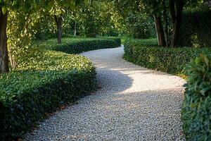 A path that is lined with trees and bushes photo
