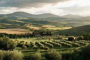 A beautiful view of a field with trees and hills photo