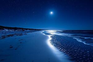 Serene Night Moonlit Beachscape Under a Starry Sky. A breathtaking image of a tranquil beach at night, illuminated by the moon and stars. photo