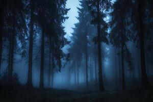 Enigmatic Night in a Foggy Coniferous Forest. A mysterious and atmospheric image of tall trees shrouded in mist under a twilight sky. photo