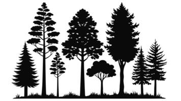 silhouettes of trees, including pine, palm, and oak, illustrate a diverse set of black plants in a forest nature design, set of trees silhouettes vector