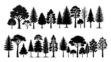 silhouettes of trees, including pine, palm, and oak, illustrate a diverse set of black plants in a forest nature design, trees silhouette vector