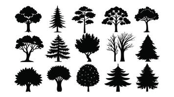 A set features black silhouette outlines of various trees, including palm and pine, showcasing a natural collection with leaf and branch details, set of trees silhouettes vector