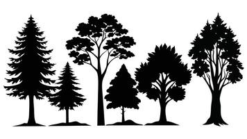 silhouettes of trees, including pine, palm, and oak, illustrate a diverse set of black plants in a forest nature design, collection of trees silhouettes, trees silhouette vector