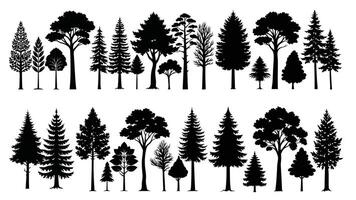 silhouettes of trees, including pine, palm, and oak, illustrate a diverse set of black plants in a forest nature design, set of trees silhouettes, trees silhouette vector