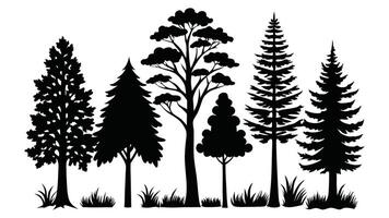 silhouettes of trees, including pine, palm, and oak, illustrate a diverse set of black plants in a forest nature design. vector