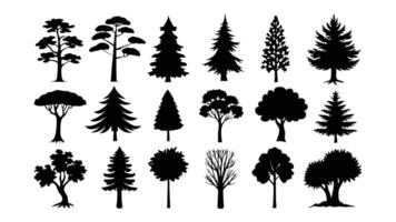 A set features black silhouette outlines of various trees, including palm and pine, showcasing a natural collection with leaf and branch details vector