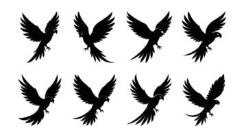 Set of parrot soaring high wings wide and tail feathers trailing silhouette black vector