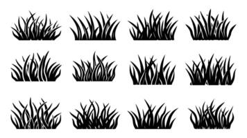 set of black grass silhouettes with floral elements and leaf patterns for nature-inspired design, set of grass silhouettes vector