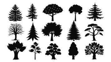 A set black silhouette outlines of various trees, including palm and pine, showcasing a natural collection with leaf and branch details, collection of trees silhouettes vector