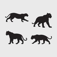 Panther Tiger Wild Cat Silhouettes in Different Poses, set of four black panther in various Walking and Prowling Positions. vector