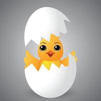 A cute, cartoon style yellow chick hatching from a white eggshell, with big expressive eyes and a joyful smile, set against a soft gray gradient background. vector