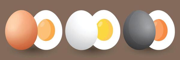 Create a stylized illustration showing three types of eggs with varying shell and yolk colors. Place each whole egg next to its corresponding half to display the yolk and white contrast. vector