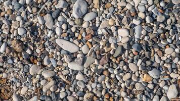 Smooth pebbles of various colors and sizes cover the sandy beach, illuminated by sunlight on a clear day photo