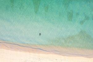 Background texture concept summer, peaceful swim in the azure teal sea near a light sand beach photo