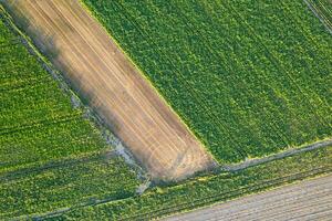 agricultural landscape with varied crop patterns. landscape of cultivated fields viewed from above, emphasizing the variety of crops and the resulting mosaic of colors and textures. photo