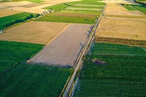agriculture and farming drone view of field divisions agricultural landscape from above, geometric patterns and boundaries between cultivated fields photo