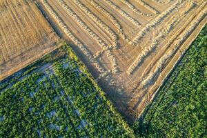 agriculture and farming top view of field divisions. agricultural landscape from above, the geometric patterns and boundaries between numerous cultivated fields photo