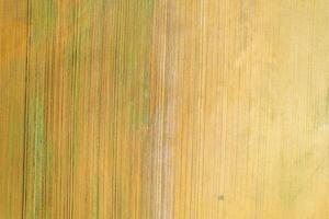 drone top down view aerial shot farmland abstract lines and textures from above, agricultural fields in summertime photo
