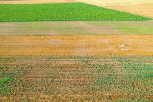 aerial drone view of variety crops creating color texture mosaic across fields Agricultural concept background texture photo