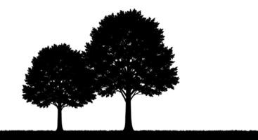 Silhouette of Two Trees on Grass vector