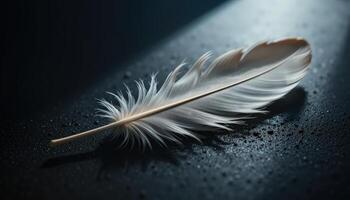 Elegant White Feather Resting on a Textured Surface With Droplets in Low Light Setting photo