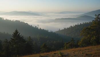 Misty Mountains Reveal Lush Valleys at Dawn With Soft Sunlight Illuminating the Landscape photo