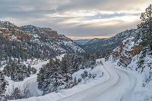 Snowy Mountain Road Winding Through a Winter Wonderland. photo