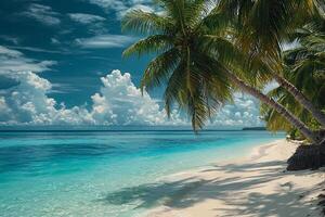Idyllic Tropical Beach Scene Palm Trees Frame Turquoise Ocean and White Sand. photo