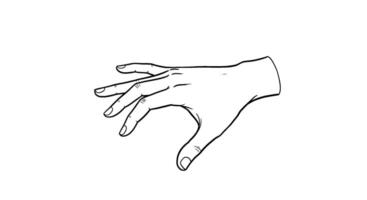 Outline Hand Gesture Gently Holding or Presenting vector
