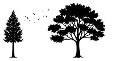 Conifer and Deciduous Trees Silhouette with Birds vector