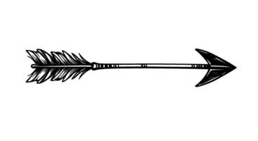 Hand-Drawn Arrow with Fletching vector