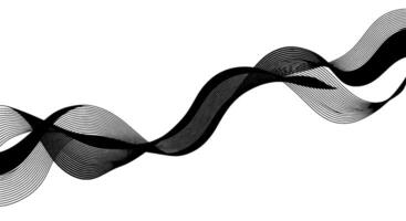 Abstract Black Line Art Wave vector