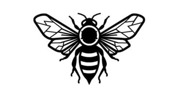 Geometric Bee Line Art, Insect Icon vector