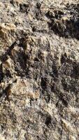 The stone is textured. Background photo