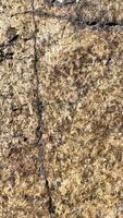 Grey stone wall with cracks. Texture Background. photo