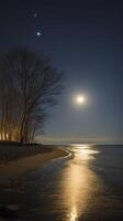 serene beach scene under clear night sky, illuminated by moonlight reflecting on water. trees add tranquil touch photo