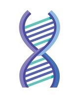 Abstract Dna Molecule Structure Graphic Illustration vector