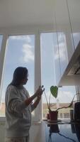 A person is lovingly taking care of a houseplant within a bright and inviting kitchen environment video